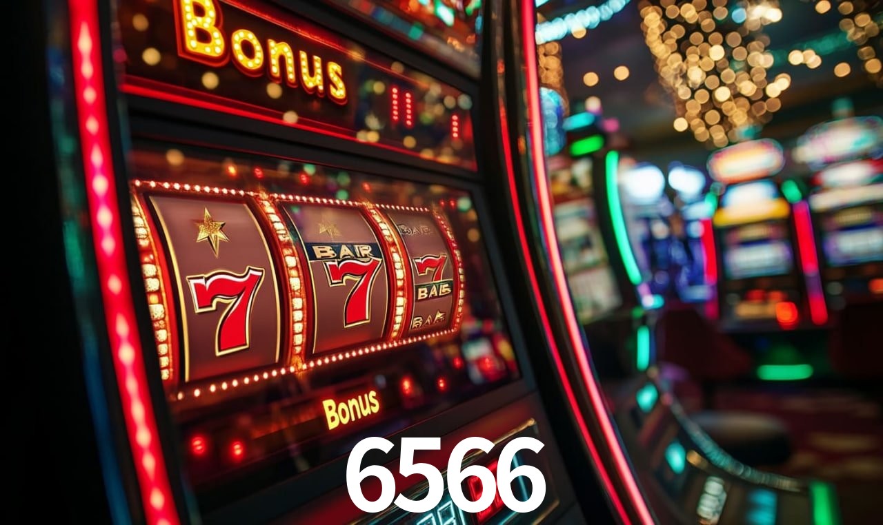 6566