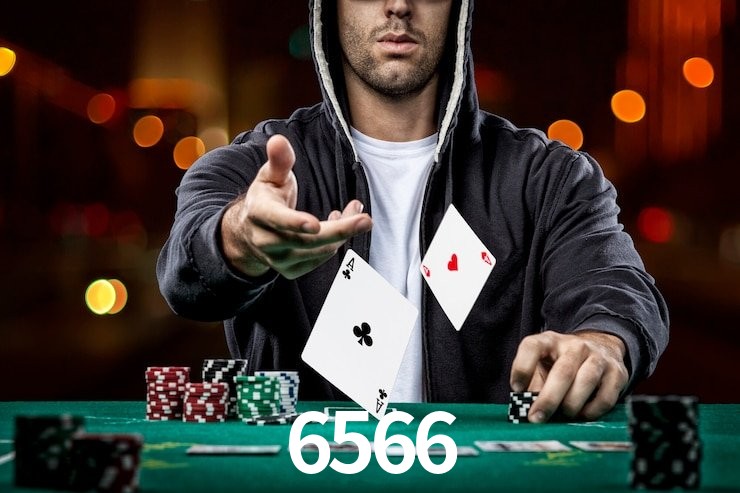 6566